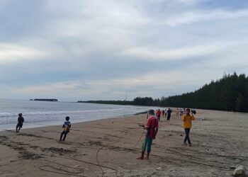 Melepas Penat dengan Keelokan Hutan Pinus di Pantai Tan Sridano