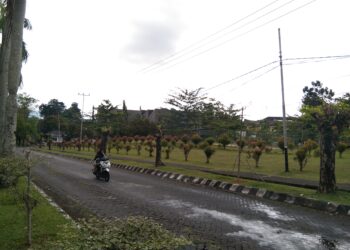 Pemangkasan Pohon di Sepanjang Jalan dari Gerbang Unand sebagai Upaya Perawatan