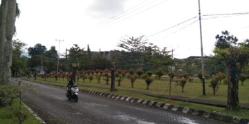 Jalanan Universitas Andalas setelah dilakukan penebangan pohon, Jumat (7/8/21). (Genta Andalas/Dian Mardhiyyah)