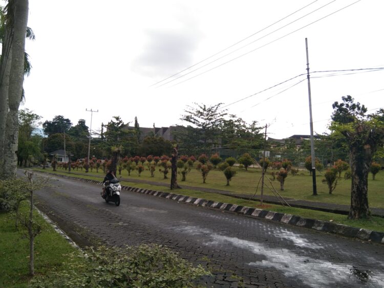 Jalanan Universitas Andalas setelah dilakukan penebangan pohon, Jumat (7/8/21). (Genta Andalas/Dian Mardhiyyah)