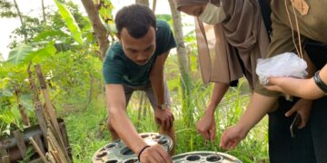 Penanaman sayur kangkung menggunakan media akuaponik yang dilakukan kelompok KKN Unand Banten bersama pemuda desa. (Genta Andalas/dok. Pribadi)