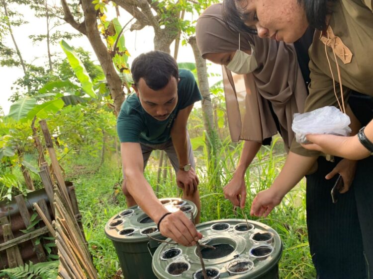 Penanaman sayur kangkung menggunakan media akuaponik yang dilakukan kelompok KKN Unand Banten bersama pemuda desa. (Genta Andalas/dok. Pribadi)