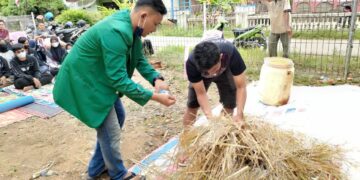 Proses pembuatan pakan ternak dari fermentasi jerami padi. (Genta Andalas/dok. Pribadi)