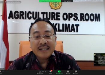 Kesesuaian Lahan Kering Tropik Basah Mendukung Produksi Pangan Food Estate