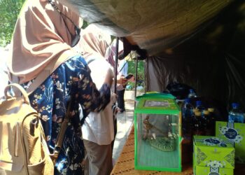 Para mahasiswa bergantian mengambil foto sembari berinteraksi dengan ular Piton Reticulada, Senin (28/3/2022). (Genta Andalas/Putri Salsabilla Eryadi)