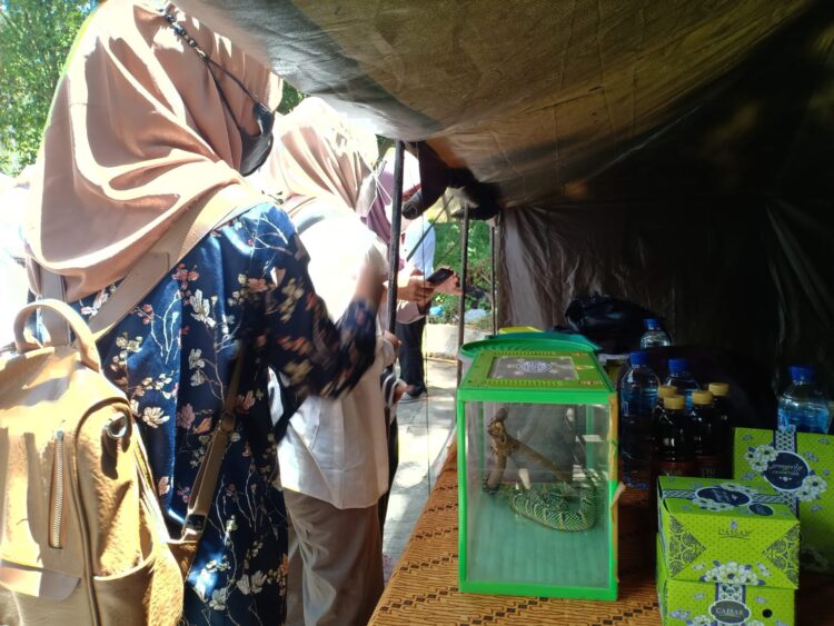 Antusiasme Donor Darah Disuguhi Pameran Reptil