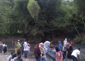 Mengenal Mitos Ikan Larangan di Wisata Alam Ikan Banyak, Gunuang Omeh kabupaten  Lima Puluh Kota