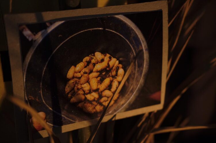 Antropologi Sosial Unand tawarkan Pesona Mentawai di Pameran Etnofotografi Mentawai