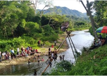 Panjat Pinang, Tradisi Meriahkan Hari Raya Idul Fitri di Suliki Kabupaten Lima Puluh Kota
