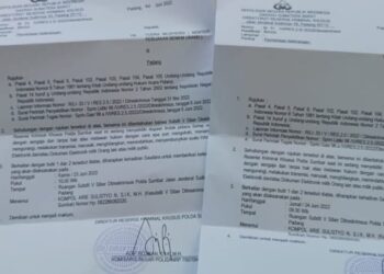 Panggilan Polda Pasca Postingan BEM, Yodra Muspierdi: Pasal yang Dijatuhi Tidak Jelas