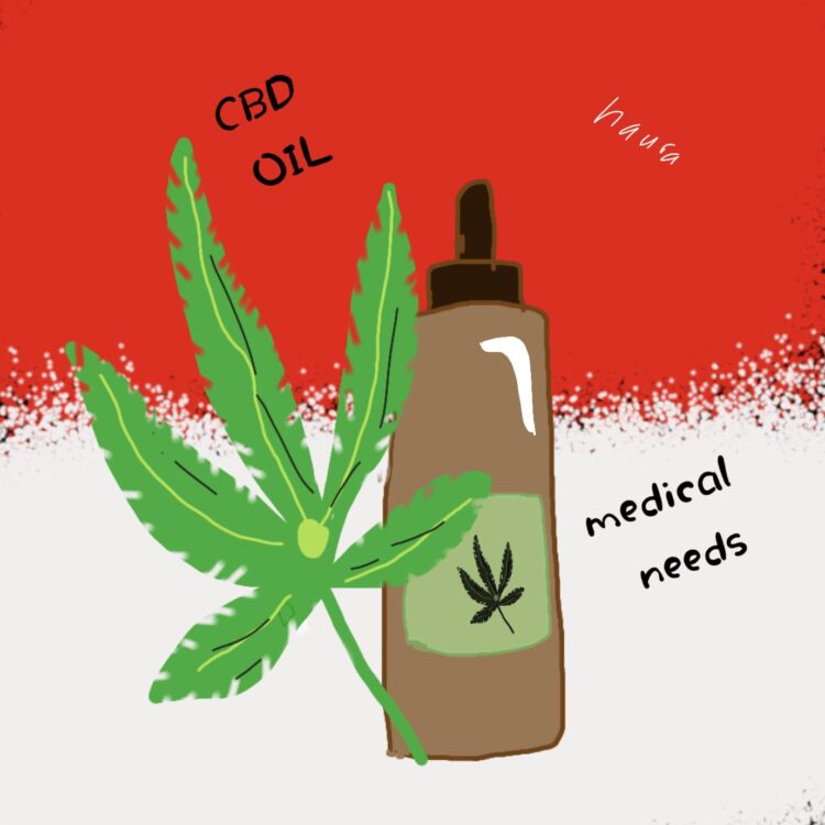 (Ilustrator/Haura Hamidah)