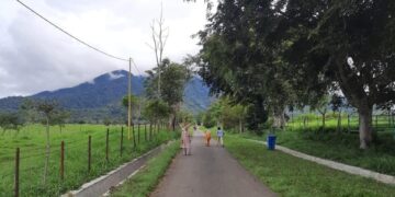 Jalan yang Membelah Padang Mangateh dengan Latar Gunung Sago. (Genta Andalas/Dok. Pribadi)