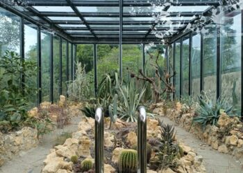 Menambah Wawasan dan Pengetahuandi Kebun Raya Bogor