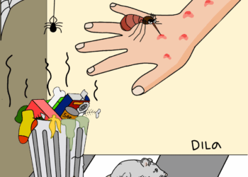 Pentingnya Menjaga Kebersihan Kamar Agar Terhindar dari Vektor Penyakit