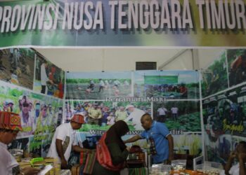 Potret Keseruan Dalam Bazar Acara PENAS ke- XVI Sumbar