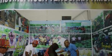 Tampak beberapa pengunjung memakai kain khas Provinsi Nusa Tenggara Timur, pada salah satu stand yang ada di acara Penas 2023 pada Rabu (14/6/2023). (Genta Andalas/ Fahara Azzah Syafaqah)