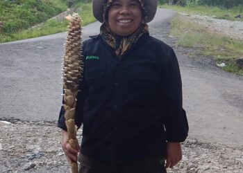 Nurainas, Sosok Penemu Jahe Endemik Sumbar