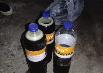 Komunitas Saiyo Jelantah Sumbar Kumpulkan Minyak Jelantah Guna Pemanfaatan Biodiesel