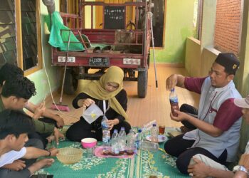 Optimalisasi Pupuk PSB sebagai Penyubur Tanaman