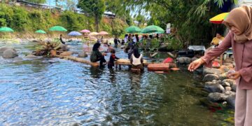 Salah seorang pengunjung sedang memberi makan ikan di pinggir pemandian Lubuk Minturun, Minggu (20/8/2023). (Genta Andalas/Fadhilah Lisma Sari)