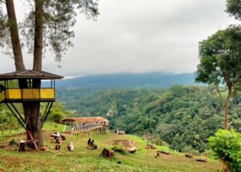 Menikmati Waktu Memanjakan Mata dengan Pemandangan di Taman Wisata Panorama Baru   