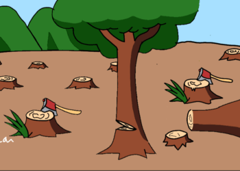 Hutan untuk Masyarakat: Upaya Perlindungan Hutan dalam Memberantas Ilegal Logging