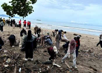 Peringati Hari Penyu Sedunia, Mahasiswa Adakan Aksi Bersih Pantai