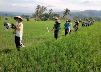 Tradisi Tolak Bala Masyarakat Nagari Parambahan Membina Kerukunan Antar Warga