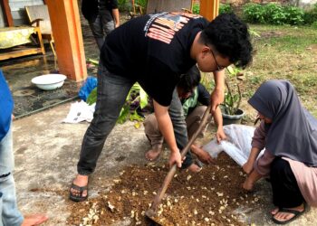 Mahasiswa KKN UNAND Pangian Berdayakan Limbah Kotoran Ayam Petelur Menjadi Pupuk Organik