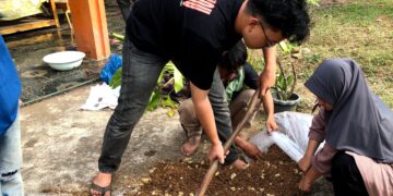 Proses pencampuran bahan baku pupuk organik kotoran ayam petelur dengan cairan EM4 (Dok.Pribadi)