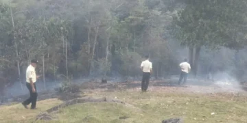 Tiga petugas keamanan Universitas Andalas (UNAND) terlihat memantau area bekas kebakaran di sekitar Mushala Batu, Rabu (4/6/2025)