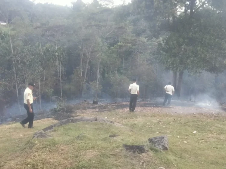 Tiga petugas keamanan Universitas Andalas (UNAND) terlihat memantau area bekas kebakaran di sekitar Mushala Batu, Rabu (4/6/2025)