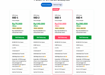 Tips Memilih VPS Murah dengan Performa Optimal